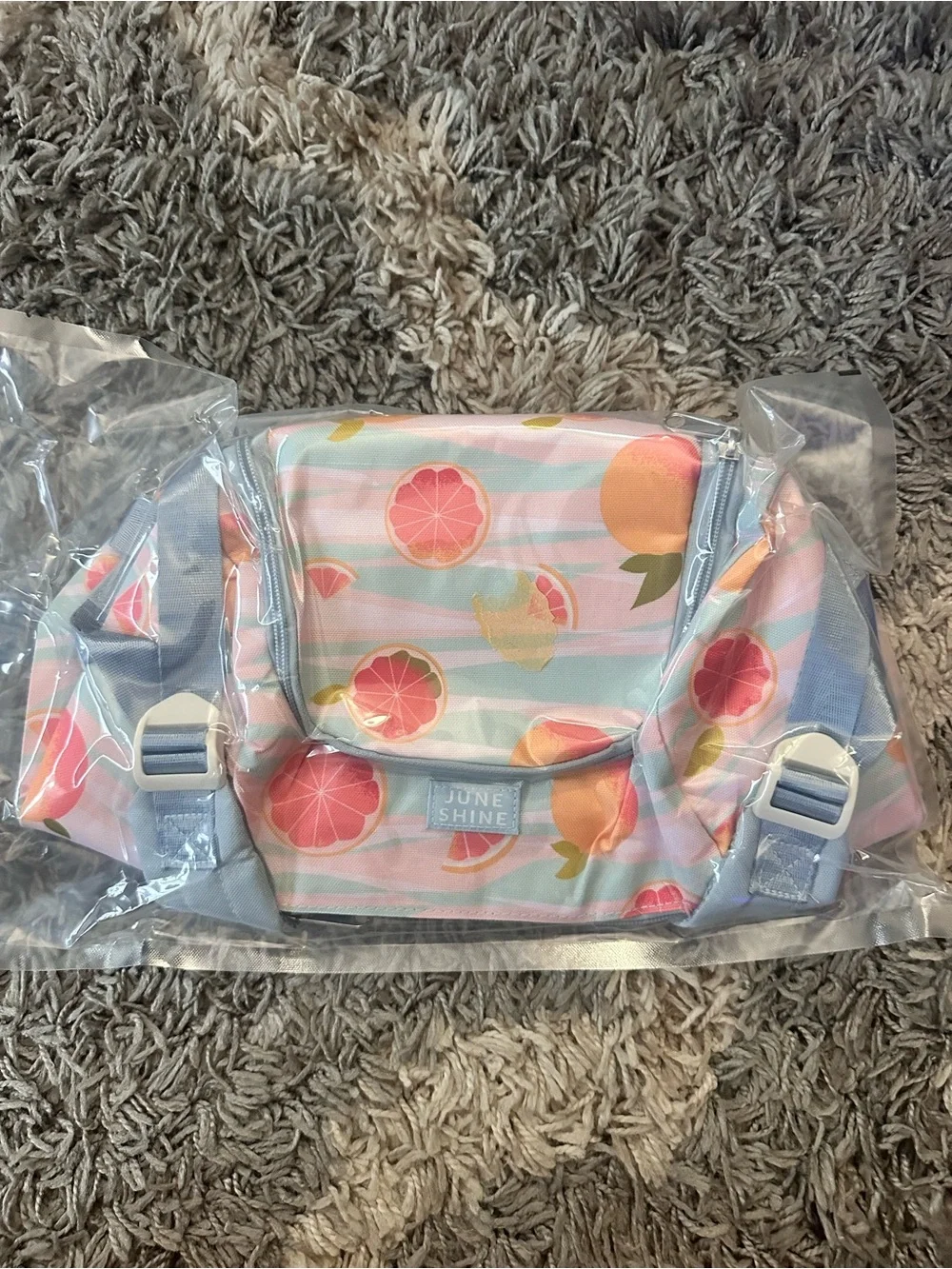 JuneShine “Summer Citrus” Insulated Cooler Backpack — NWT